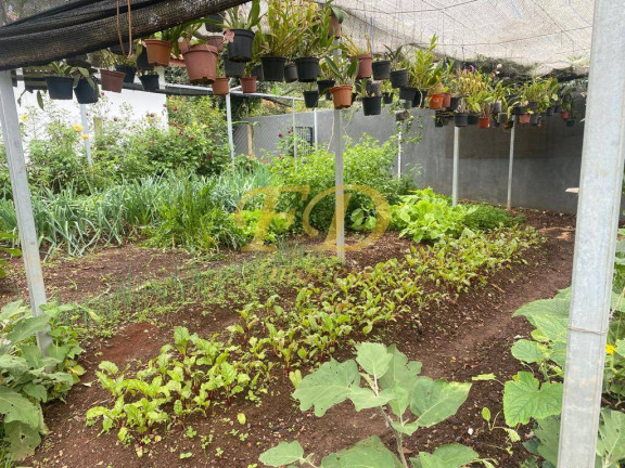 Imagem Chácara com 4 Quartos à Venda, 4.680 m² em Chácaras Fernão Dias - Atibaia Imagem Chácara com 4 Quartos à Venda, 4.680 m² em Chácaras Fernão Dias - Atibaia