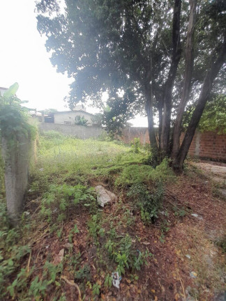 Imagem Terreno à Venda, 12 m² em Praia Da Pipa - Tibau Do Sul Imagem Terreno à Venda, 12 m² em Praia Da Pipa - Tibau Do Sul