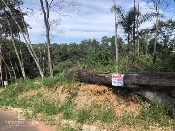 Imagem Terreno à Venda, 378 m² em Centro - Bom Jesus Dos Perdões Imagem Terreno à Venda, 378 m² em Centro - Bom Jesus Dos Perdões