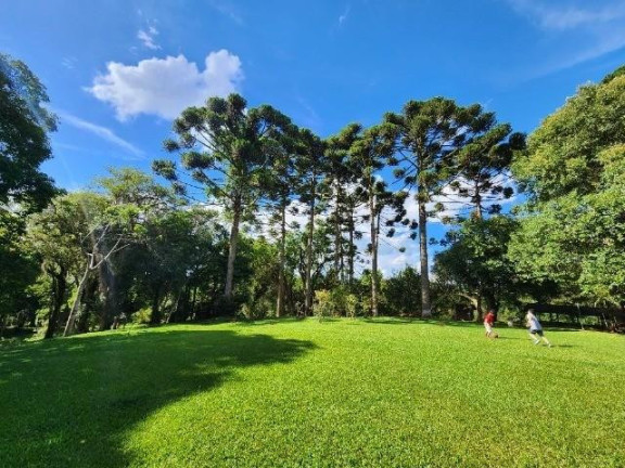 Imagem Imóvel com 3 Quartos à Venda, 51.000 m² em Campo Largo Da Roseira - São José Dos Pinhais