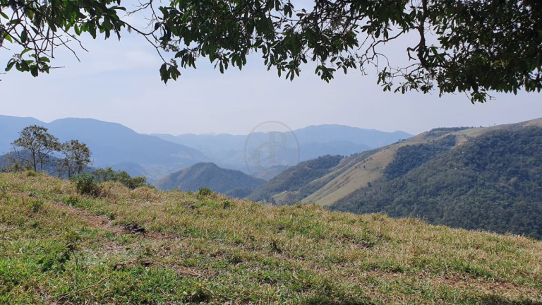Imagem Chácara à Venda, 244.643 m² em Pouso Frio - São José Dos Campos Imagem Chácara à Venda, 244.643 m² em Pouso Frio - São José Dos Campos