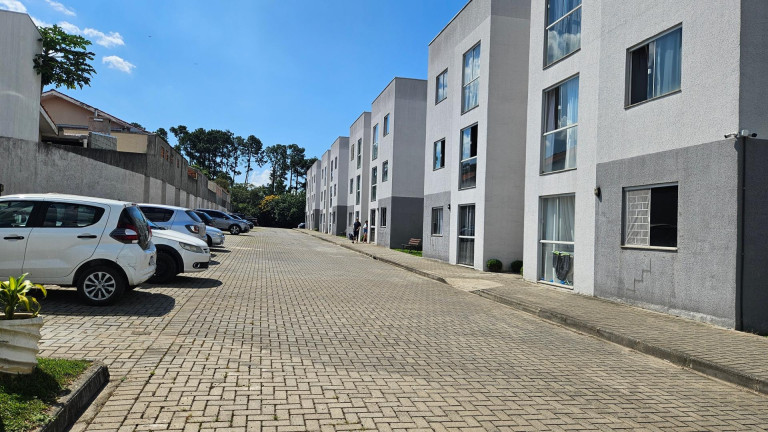 Imagem Apartamento com 2 Quartos à Venda, 50 m² em Thomaz Coelho - Araucaria Imagem Apartamento com 2 Quartos à Venda, 50 m² em Thomaz Coelho - Araucaria