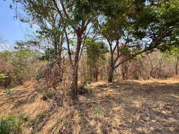 Imagem Terreno à Venda, 2.854 m² em Centro - Hidrolândia Imagem Terreno à Venda, 2.854 m² em Centro - Hidrolândia