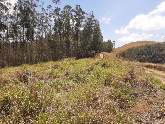 Imagem Fazenda à Venda, 200 m² em Centro - Paraibuna Imagem Fazenda à Venda, 200 m² em Centro - Paraibuna