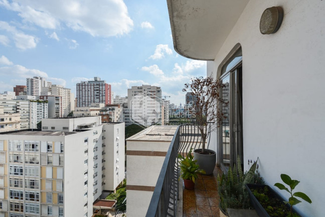 Imagem Apartamento com 4 Quartos à Venda, 202 m² em Higienópolis - São Paulo Imagem Apartamento com 4 Quartos à Venda, 202 m² em Higienópolis - São Paulo