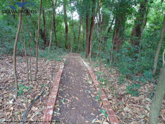 Imagem Chácara com 2 Quartos à Venda, 14.000 m² em Estrada Santa Fe - Marialva
