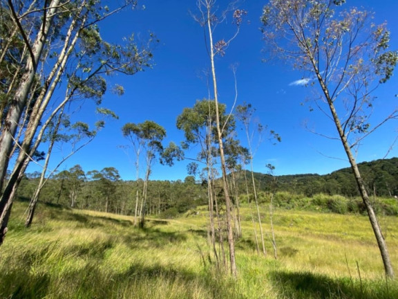 Imagem Terreno à Venda, 320.000 m² em Terra Preta (terra Preta) - Mairiporã