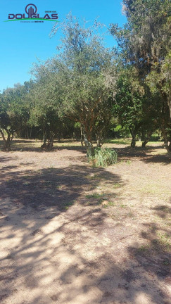 Imagem Chácara com 2 Quartos à Venda, 11.000 m² em Viamão Imagem Chácara com 2 Quartos à Venda, 11.000 m² em Viamão