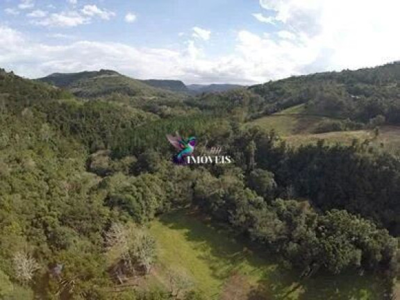 Imagem Imóvel à Venda, 240.000 m² em Linha Forqueta - Gramado Imagem Imóvel à Venda, 240.000 m² em Linha Forqueta - Gramado