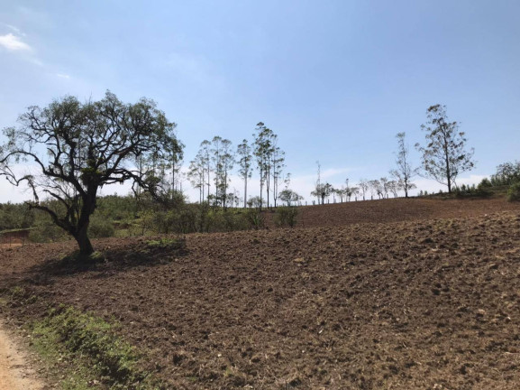 Imagem Terreno à Venda,  em Pilar Do Sul
