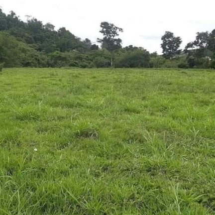 Imagem Chácara à Venda, 25.150 m² em Registro - Taubaté Imagem Chácara à Venda, 25.150 m² em Registro - Taubaté