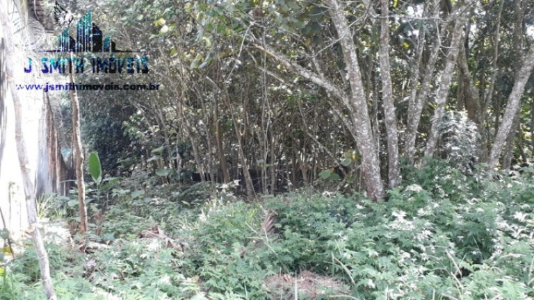 Foto do imóvel Terreno em Condomínio à Venda, 638 m² em Gramado - Cotia