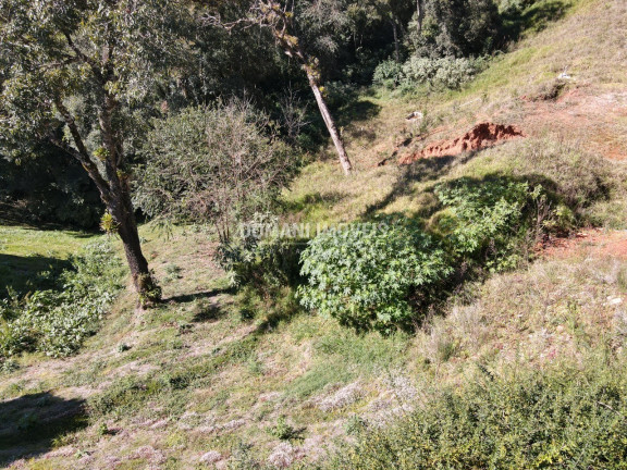 Imagem Terreno à Venda, 1.110 m² em Região Do Alto Do Capivari - Campos Do Jordão Imagem Terreno à Venda, 1.110 m² em Região Do Alto Do Capivari - Campos Do Jordão