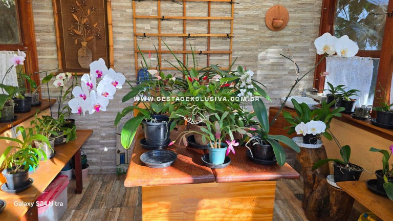 Imagem Chácara com 4 Quartos à Venda, 5.492 m² em Condomínio Itaembu - Itatiba