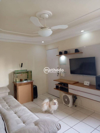 Imagem Apartamento com 2 Quartos à Venda, 47 m² em Vila Industrial - Campinas Imagem Apartamento com 2 Quartos à Venda, 47 m² em Vila Industrial - Campinas