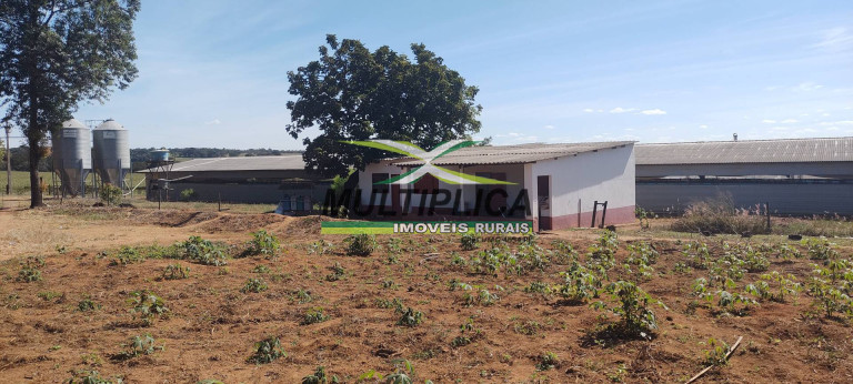 Imagem Chácara à Venda, 3 m² em Uberlândia Imagem Chácara à Venda, 3 m² em Uberlândia