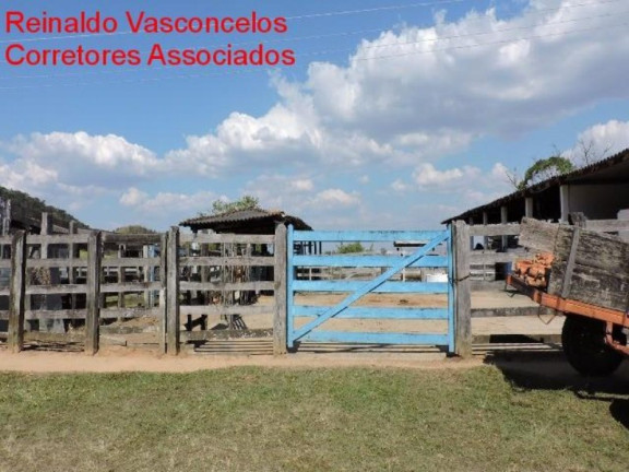 Imagem Imóvel com 3 Quartos à Venda, 3.872.000 m² em Passa Vinte - Cruzeiro