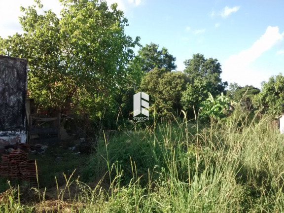 Imagem Terreno à Venda, 350 m² em Camobi - Santa Maria Imagem Terreno à Venda, 350 m² em Camobi - Santa Maria