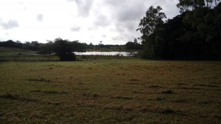 Imagem Chácara à Venda, 5.536 m² em águas Claras - Viamão Imagem Chácara à Venda, 5.536 m² em águas Claras - Viamão