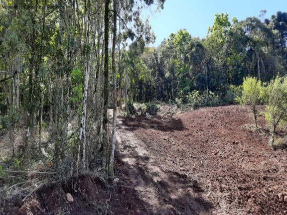 Terreno à Venda, 675 m² em Piá - Nova Petrópolis