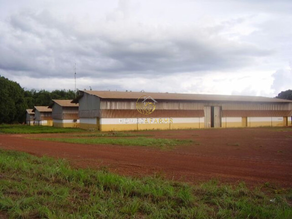 Imagem Imóvel com 3 Quartos à Venda, 57.000 m² em Zona Rural - Santana Do Araguaia Imagem Imóvel com 3 Quartos à Venda, 57.000 m² em Zona Rural - Santana Do Araguaia