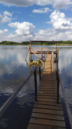 Imagem Chácara com 3 Quartos à Venda, 250 m² em Ribeirão Preto Imagem Chácara com 3 Quartos à Venda, 250 m² em Ribeirão Preto