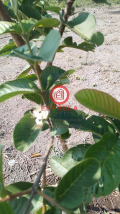 Imagem Imóvel à Venda, 2.000 m² em Chácara Itapoã - Jacareí