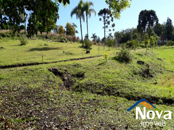 Imagem Imóvel à Venda, 150 m² em Linha Araripe - Nova Petrópolis Imagem Imóvel à Venda, 150 m² em Linha Araripe - Nova Petrópolis