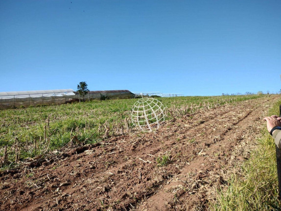 Imagem Imóvel à Venda, 23.800 m² em Parque Rio Abaixo - Atibaia Imagem Imóvel à Venda, 23.800 m² em Parque Rio Abaixo - Atibaia