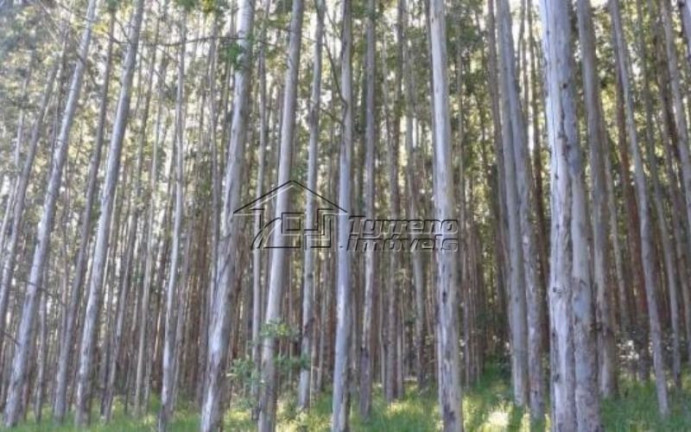 Imagem Imóvel à Venda, 280.000 m² em Caldas - Caldas Imagem Imóvel à Venda, 280.000 m² em Caldas - Caldas