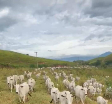 Imagem Fazenda à Venda, 259 m² em Centro - Lorena Imagem Fazenda à Venda, 259 m² em Centro - Lorena