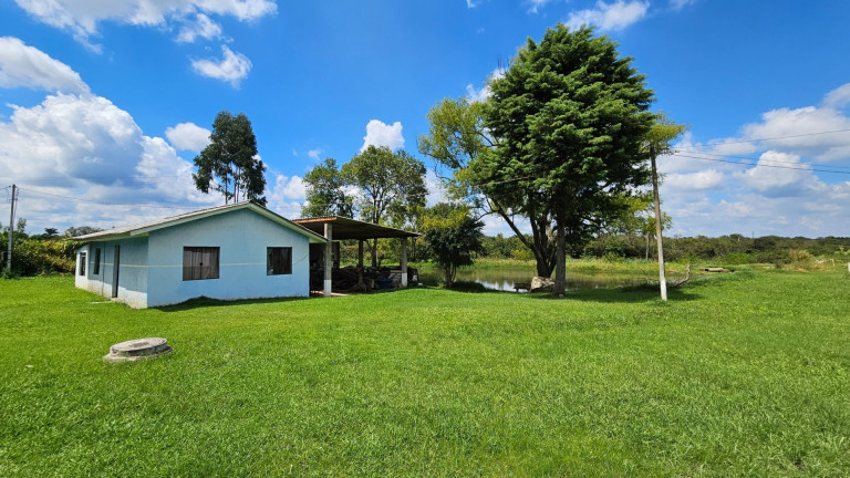Imagem Fazenda à Venda, em Iguaçu - Araucaria Imagem Fazenda à Venda, em Iguaçu - Araucaria