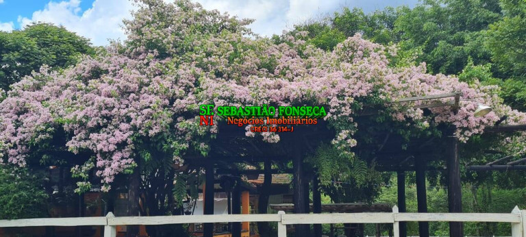 Chácara à Venda, 47.500 m² em Centro - Monteiro Lobato