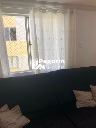 Imagem Apartamento com 2 Quartos à Venda, 45 m² em Santa Cândida - Curitiba Imagem Apartamento com 2 Quartos à Venda, 45 m² em Santa Cândida - Curitiba