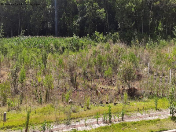 Terreno à Venda, 361 m² em Pinhal Alto - Nova Petrópolis
