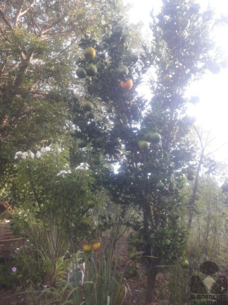 Imagem Imóvel com 3 Quartos à Venda, 65 m² em Arouca - Bonfim