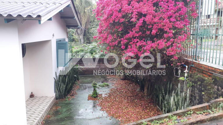 Imagem Casa com 2 Quartos à Venda, 420 m² em Jardim América - Sao Leopoldo Imagem Casa com 2 Quartos à Venda, 420 m² em Jardim América - Sao Leopoldo