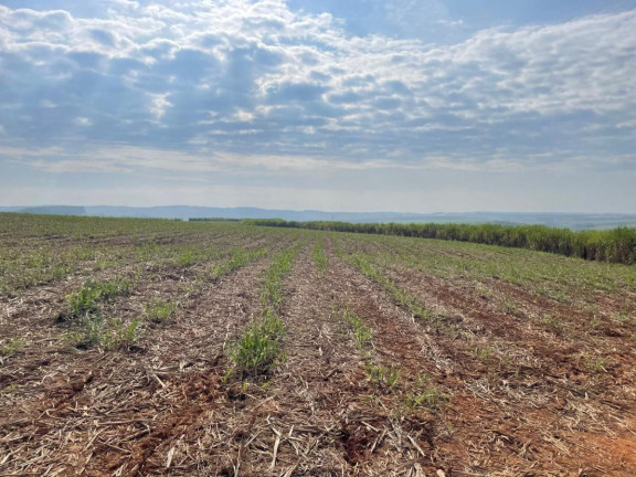 Imagem Fazenda à Venda, 303 m² em Rural - Itaí Imagem Fazenda à Venda, 303 m² em Rural - Itaí