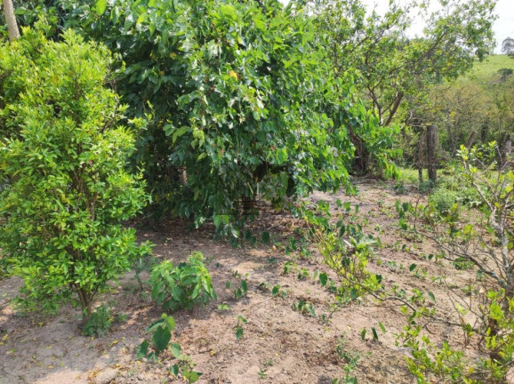 Imagem Chácara com 2 Quartos à Venda, 48.000 m² em água De São João - Wenceslau Braz