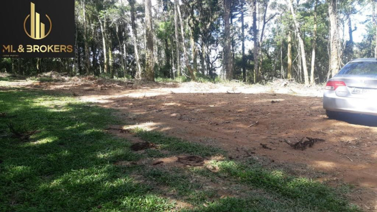 Imagem Imóvel à Venda, 20.000 m² em Quitandinha - Quitandinha Imagem Imóvel à Venda, 20.000 m² em Quitandinha - Quitandinha