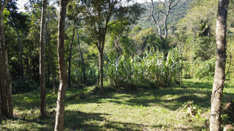 Imagem Terreno à Venda, 20.000 m² em Macacu - Garopaba Imagem Terreno à Venda, 20.000 m² em Macacu - Garopaba