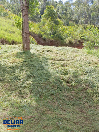 Imagem Chácara com 2 Quartos à Venda, 1 m² em Ribeirão Acima - Nazaré Paulista