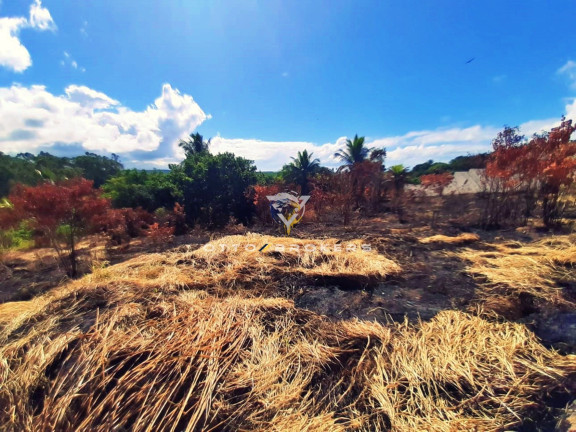 Imagem Terreno à Venda, 3.000 m² em Mirante - Santa Cruz Cabrália Imagem Terreno à Venda, 3.000 m² em Mirante - Santa Cruz Cabrália