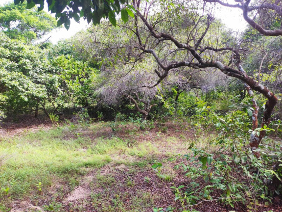 Imagem Terreno à Venda, 1.857 m² em Estrada Para A Praia De Sibaúma - Tibau Do Sul Imagem Terreno à Venda, 1.857 m² em Estrada Para A Praia De Sibaúma - Tibau Do Sul