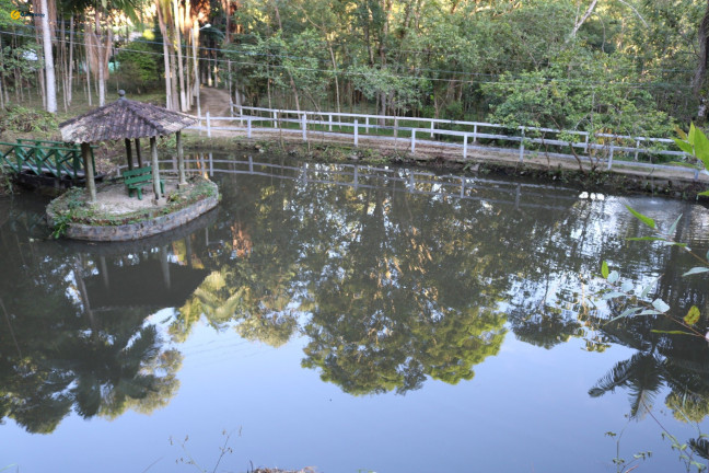 Imagem Fazenda à Venda, 72.924 m² em Sul Do Rio - Santo Amaro Da Imperatriz Imagem Fazenda à Venda, 72.924 m² em Sul Do Rio - Santo Amaro Da Imperatriz