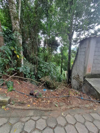 Imagem Terreno à Venda, em Bairro Do Reino - Ilhabela Imagem Terreno à Venda, em Bairro Do Reino - Ilhabela
