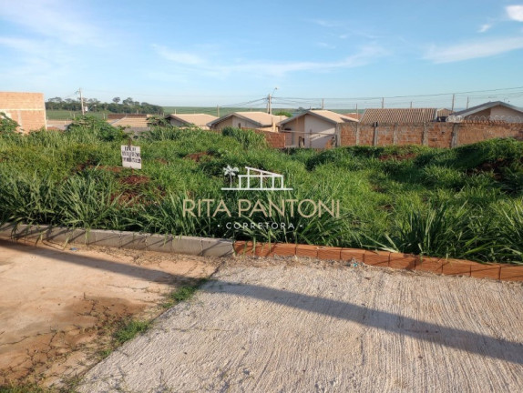 Terreno à Venda, 207 m² em Reserva Macaúba - Ribeirão Preto