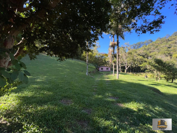 Imagem Imóvel com 3 Quartos à Venda, 40.000 m² em Bairro Dos Soares - Juquitiba Imagem Imóvel com 3 Quartos à Venda, 40.000 m² em Bairro Dos Soares - Juquitiba