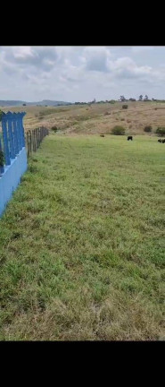 Imagem Chácara à Venda, em Belém Imagem Chácara à Venda, em Belém