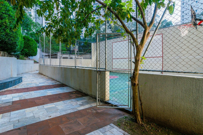 Imagem Apartamento com 3 Quartos à Venda, 61 m² em Vila Andrade - São Paulo